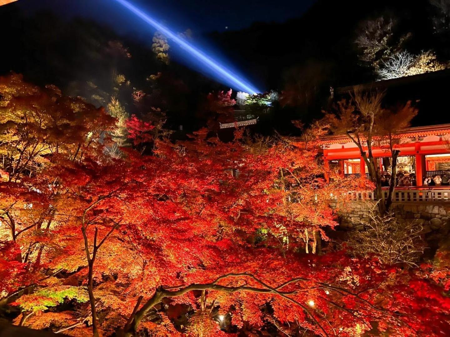 Hana-touro Gion Kyōto